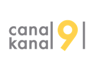 Canal 9